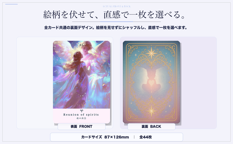 カードの表面と共通裏面デザイン、サイズと枚数